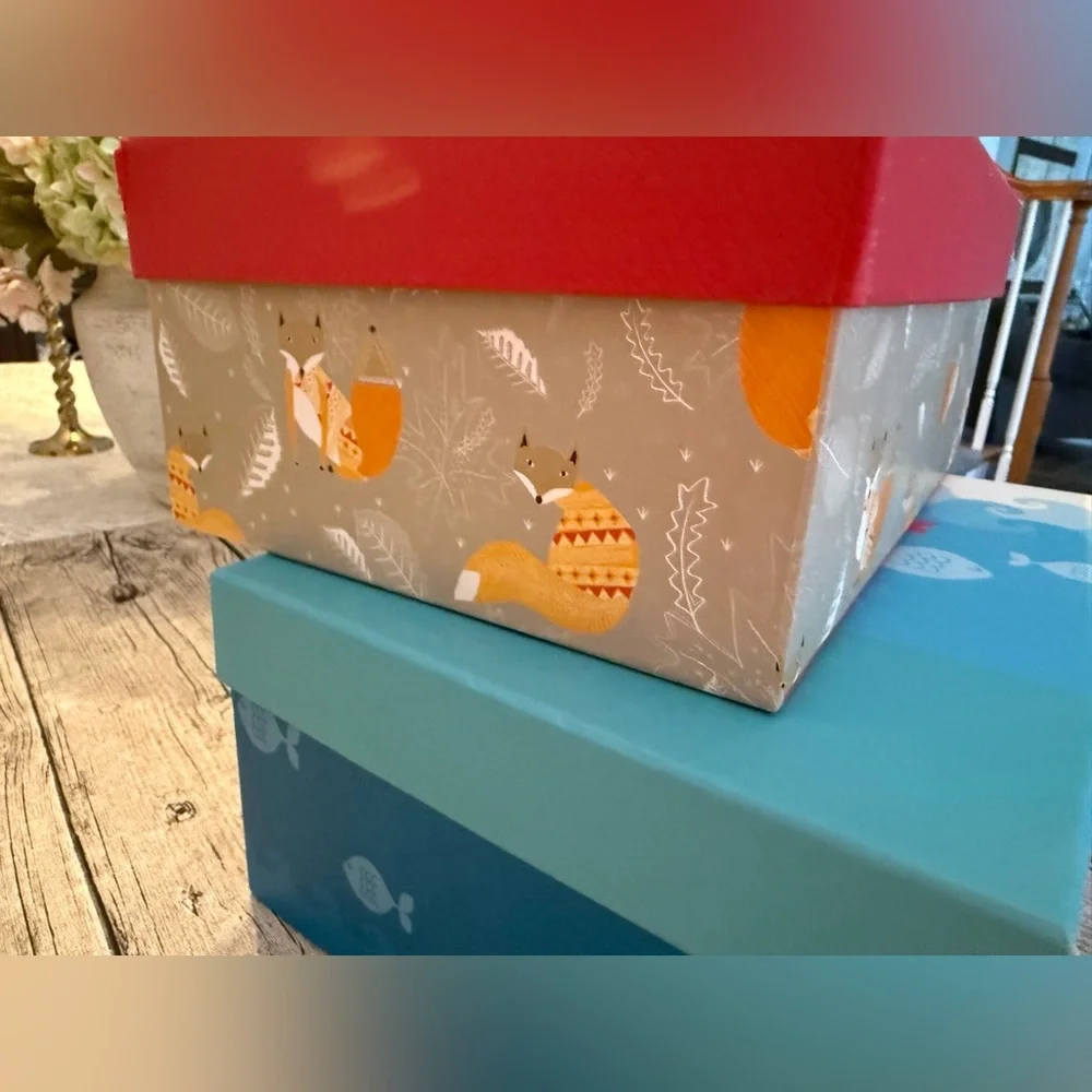 Set of 2 decorative storage boxes. Super cute!